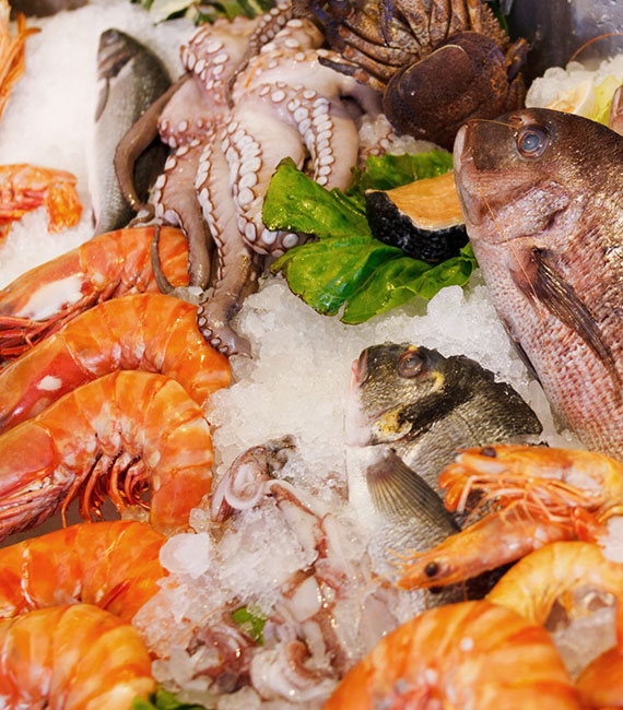 contact-fresh-fish-shrimps-lobster-seashells-seafood-supplier-cebu-philippines-2